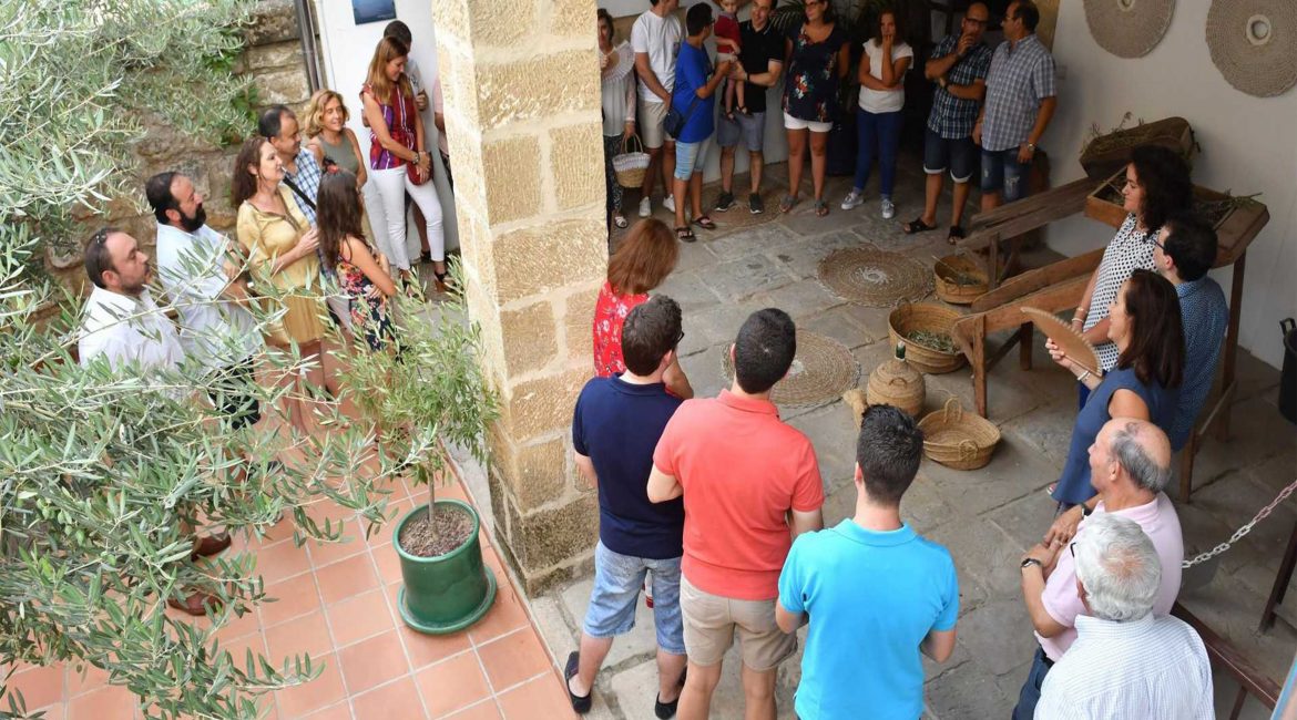 Visita al Centro de Interpretación Olivar y Aceite