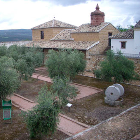 Museo de la Cultura del Aceite