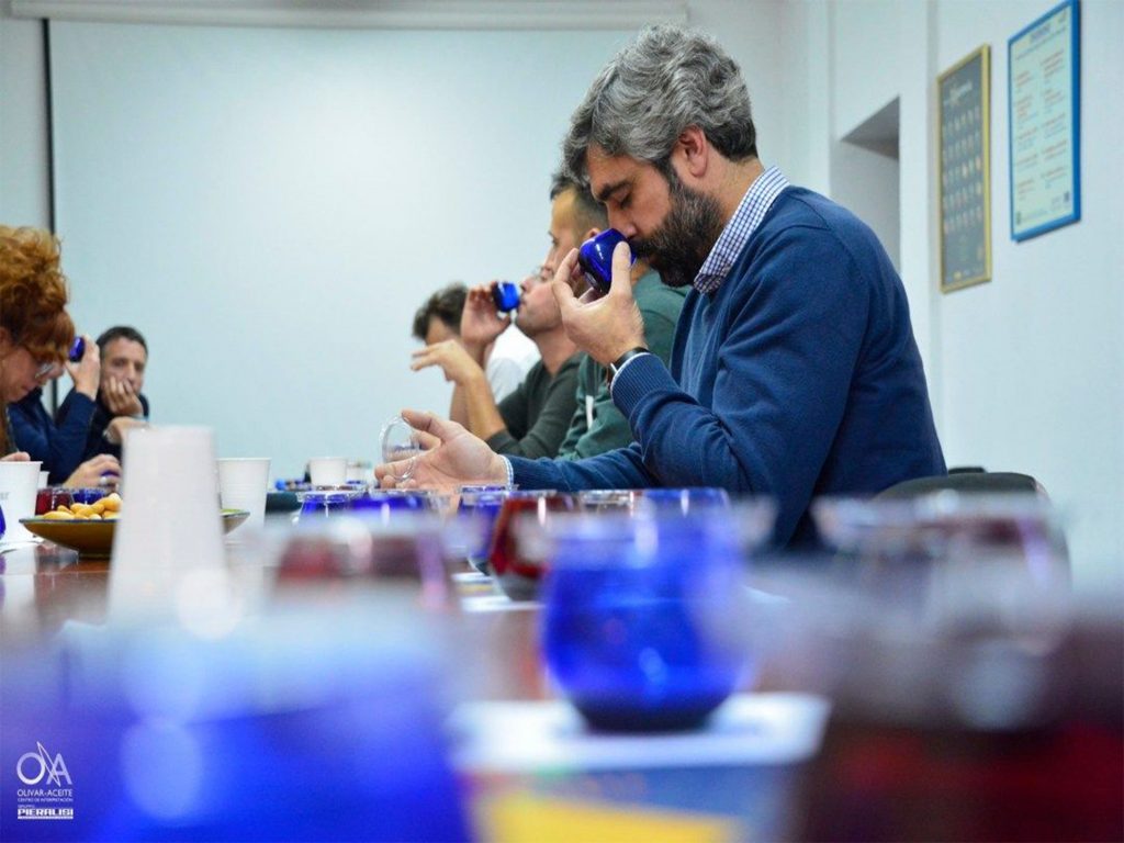 Taller de Cata de Aceites de Oliva Virgen