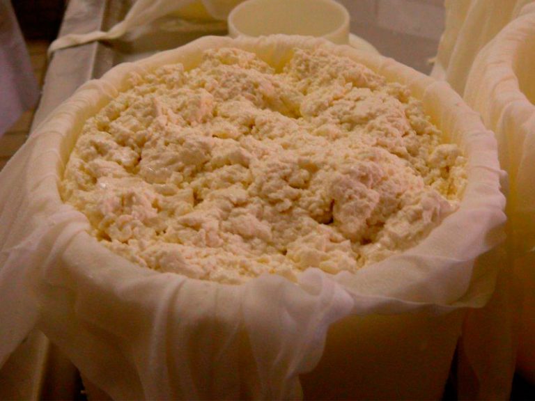 Taller de elaboración de queso de cabra Payoya Crestellina